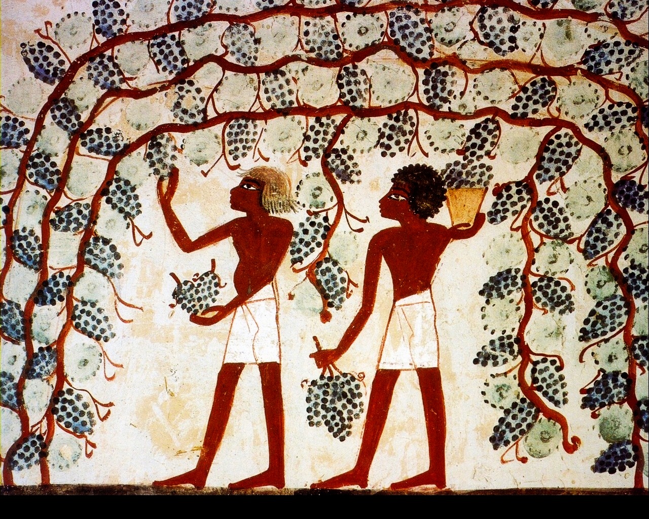 История виноделия