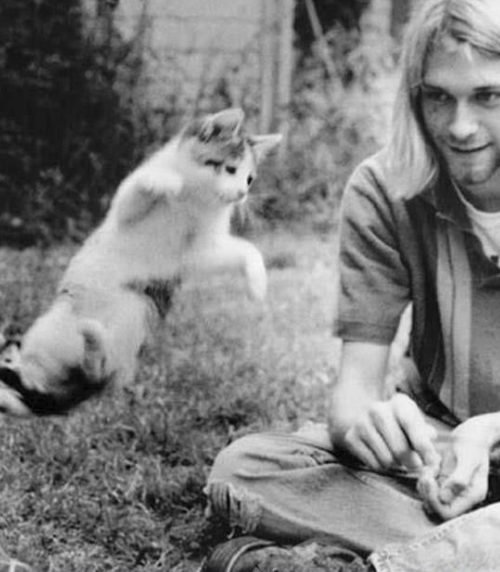 Курт Кобейн и его летающая кошка
