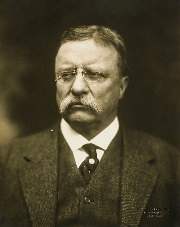 Теодор Рузвельт, 1915 год.jpg