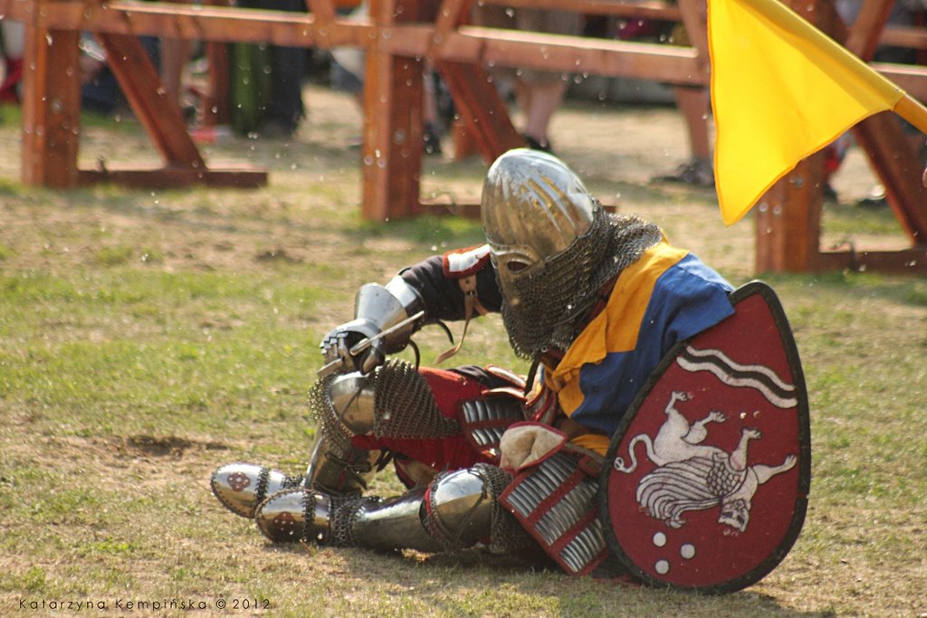 bnfest_2012___knight_tournament_ix_by_galloping_horse-d56pc7a.jpg