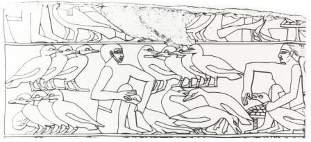 Египетская фреска с изображением принудительного откорма гусей.jpg