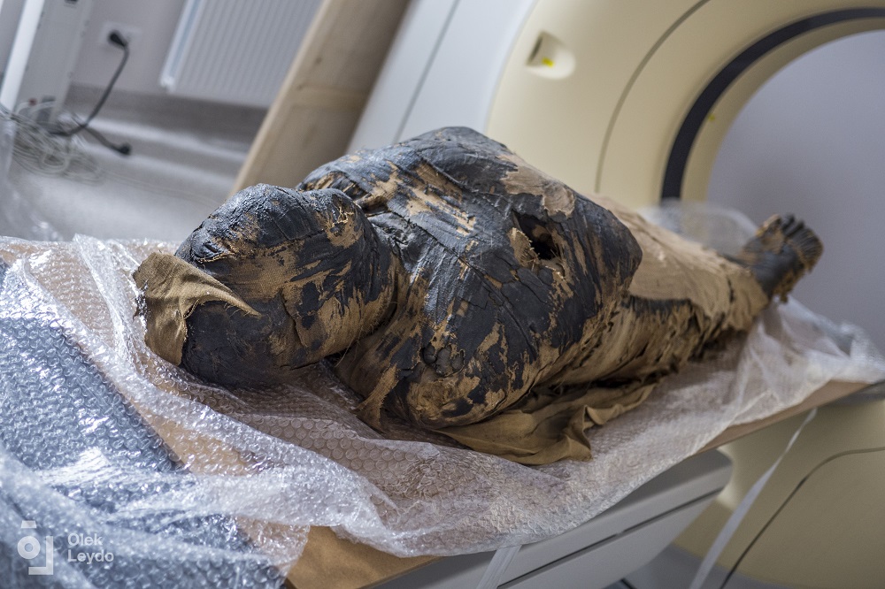 Найдена древняя мумия беременной женщины