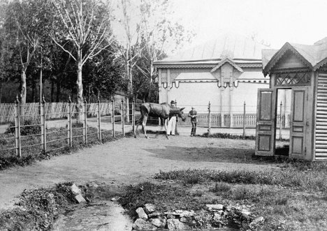Загон с лосем 1900-е гг..jpg