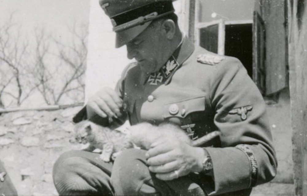 Генеральский котенок, 1-й танковой дивизии СС «Лейбштандарт СС Адольф Гитлер». 