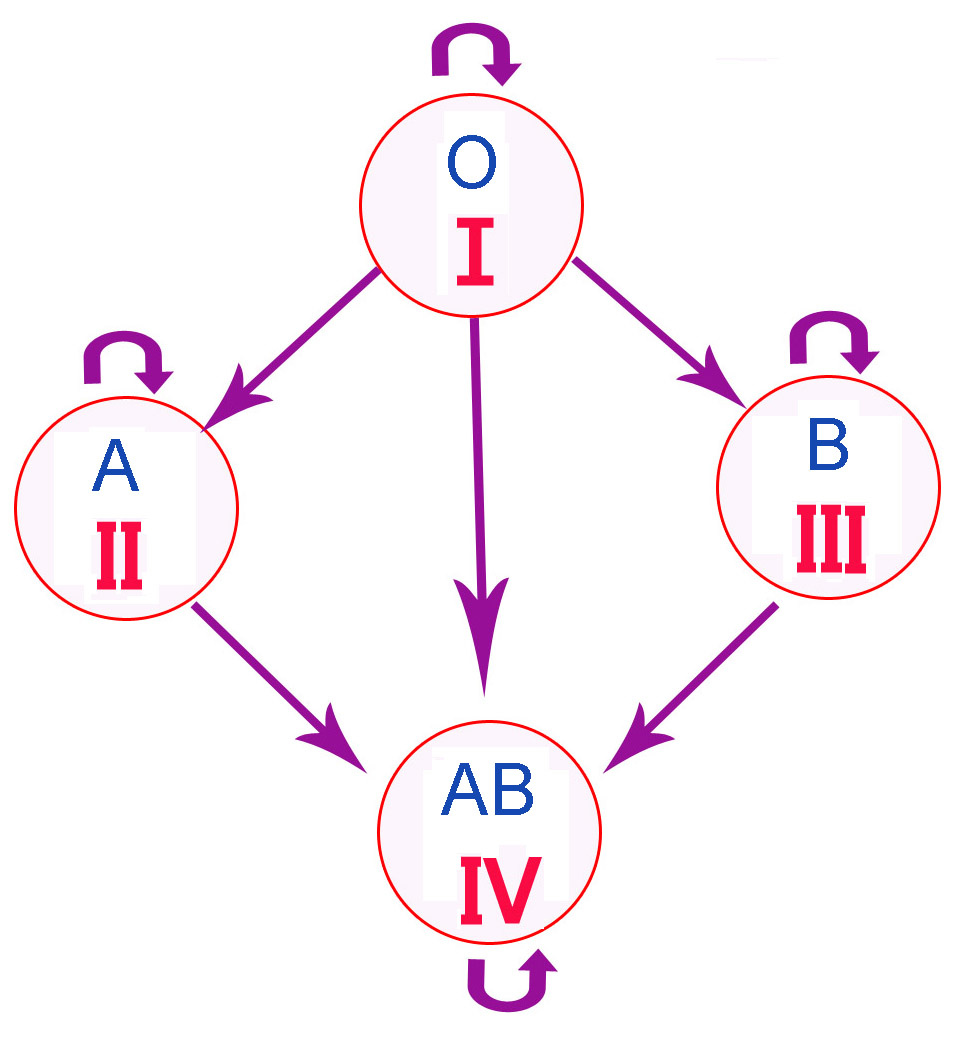 Схема-переливания-групп-крови11.jpg