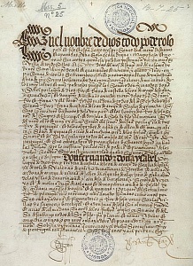 Тордесильясский договор, 1494