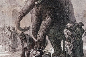 Казнь слонами