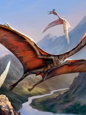 У птерозавров выявили способность контролировать цвет перьев