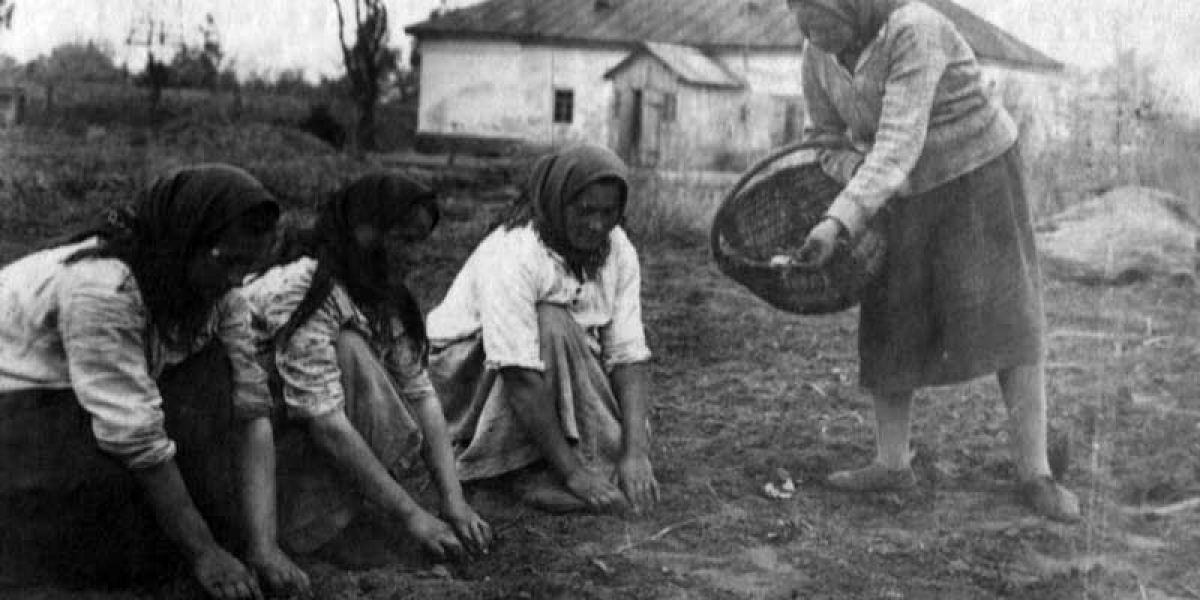 Сухой голод фото до после