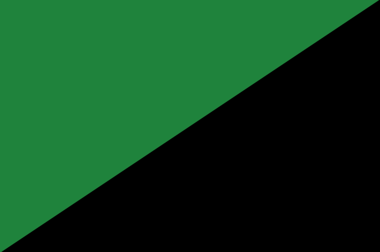 Флаг зеленоармейцев.