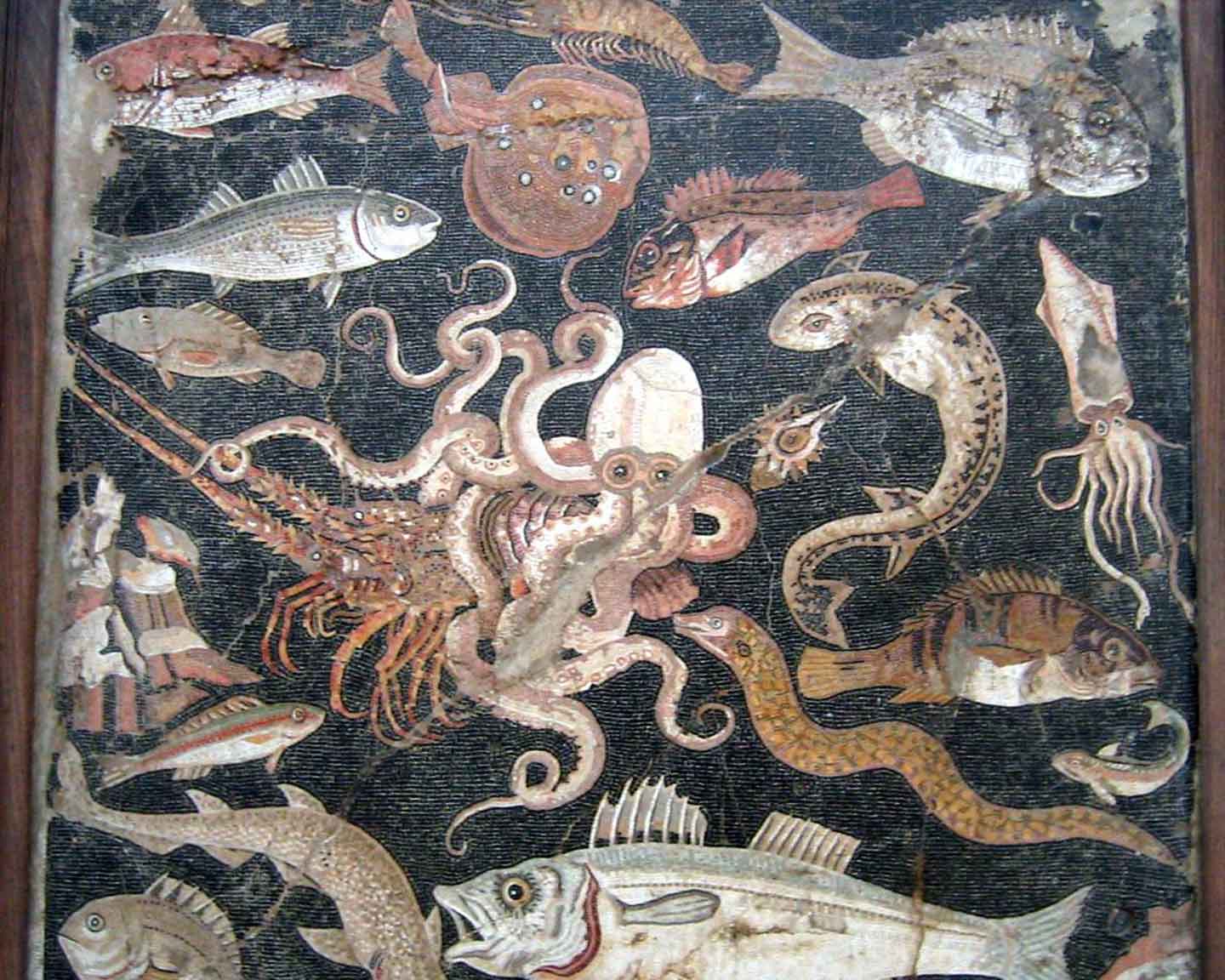 Мозаика «Обитатели моря». Помпеи.
