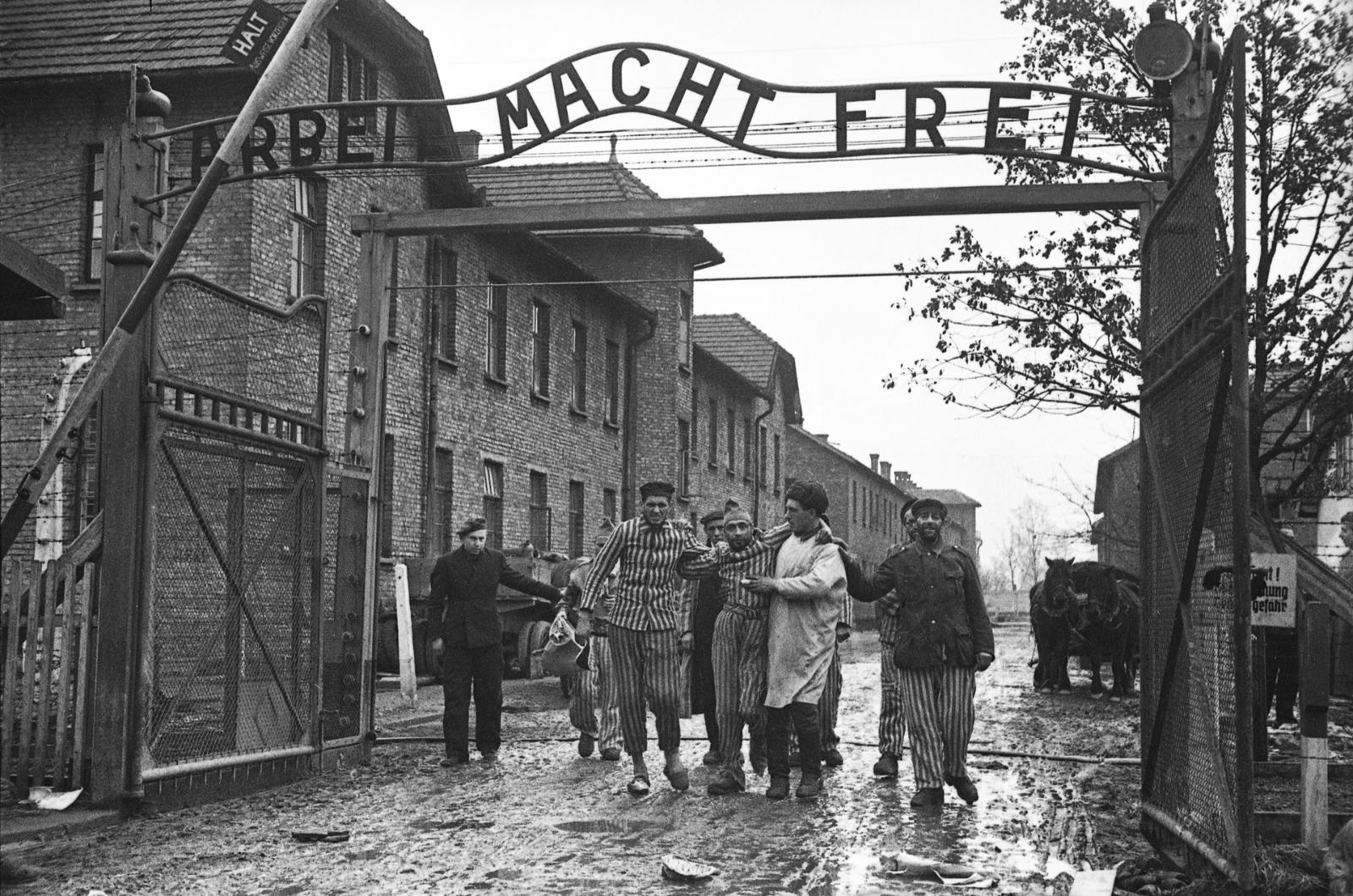 Освобождение концентрационного лагеря Освенцим, Польша, конец января 1945.