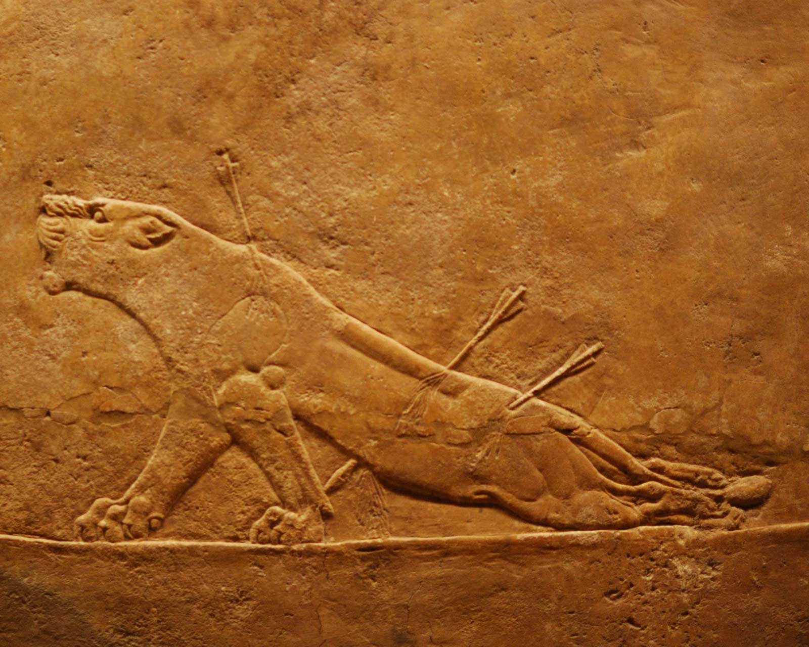 Рельеф с изображением умирающей львицы.
