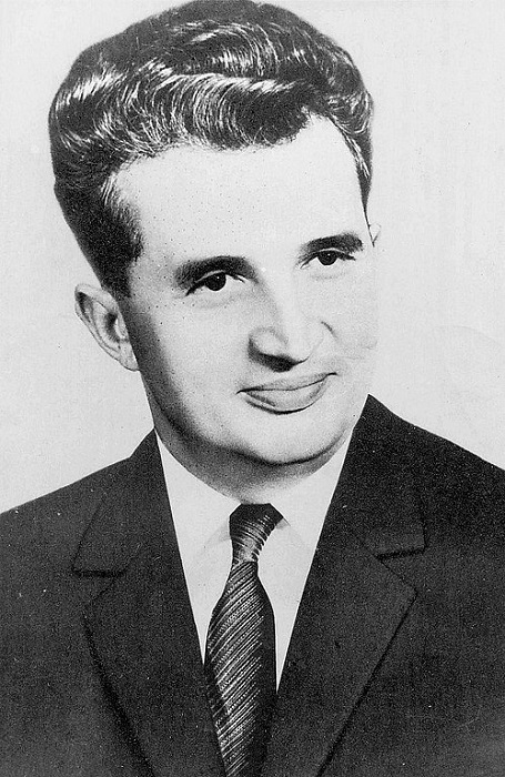 Официальный портрет, 1965 г.