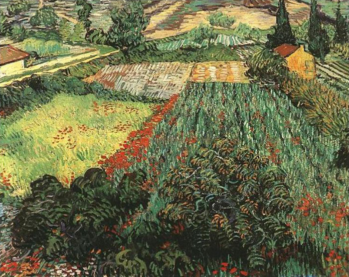 Поле маков 1889.jpg