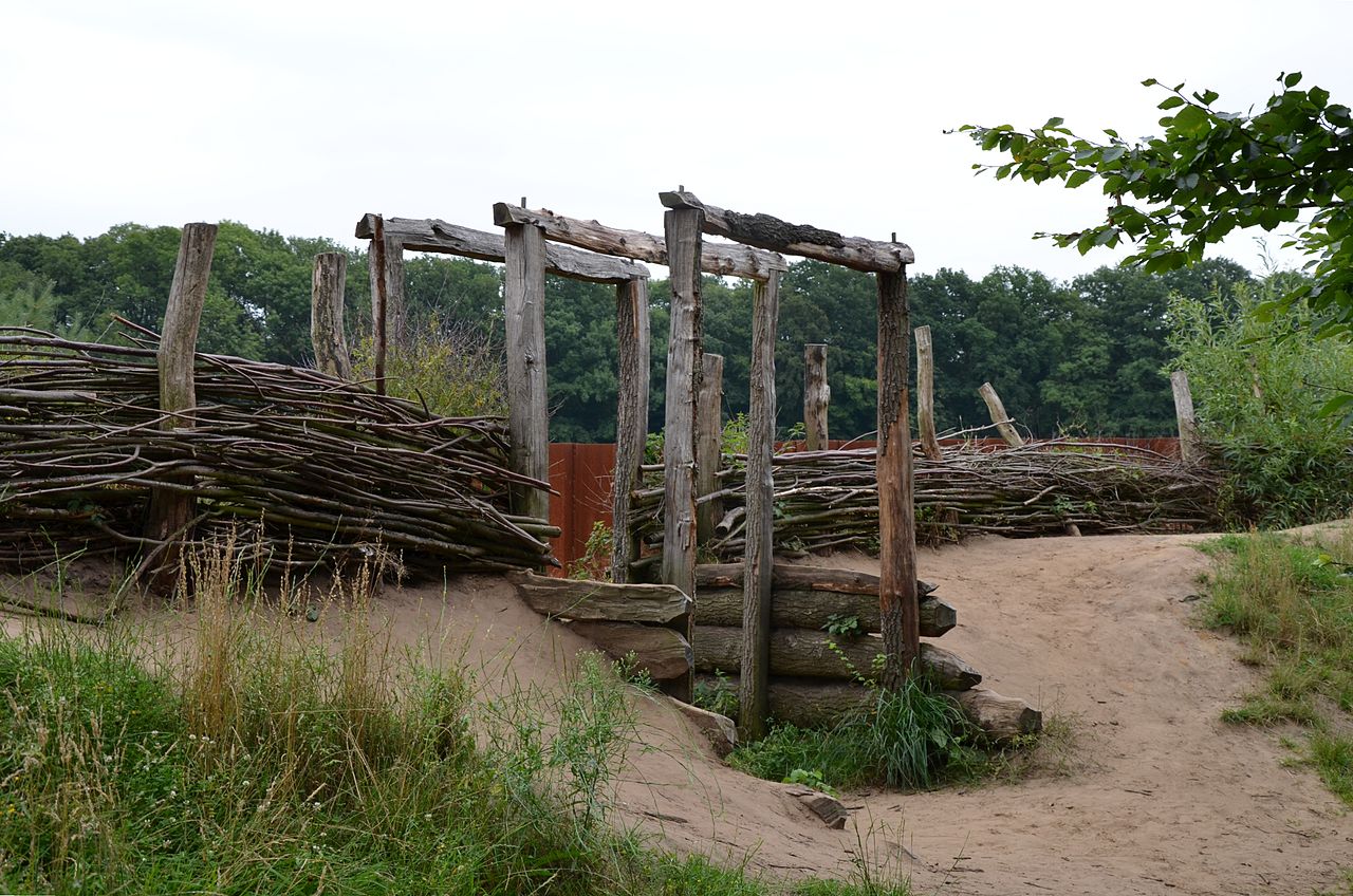 Реконструкция засадных укреплений германцев.