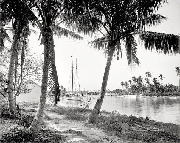 Майами, 1904