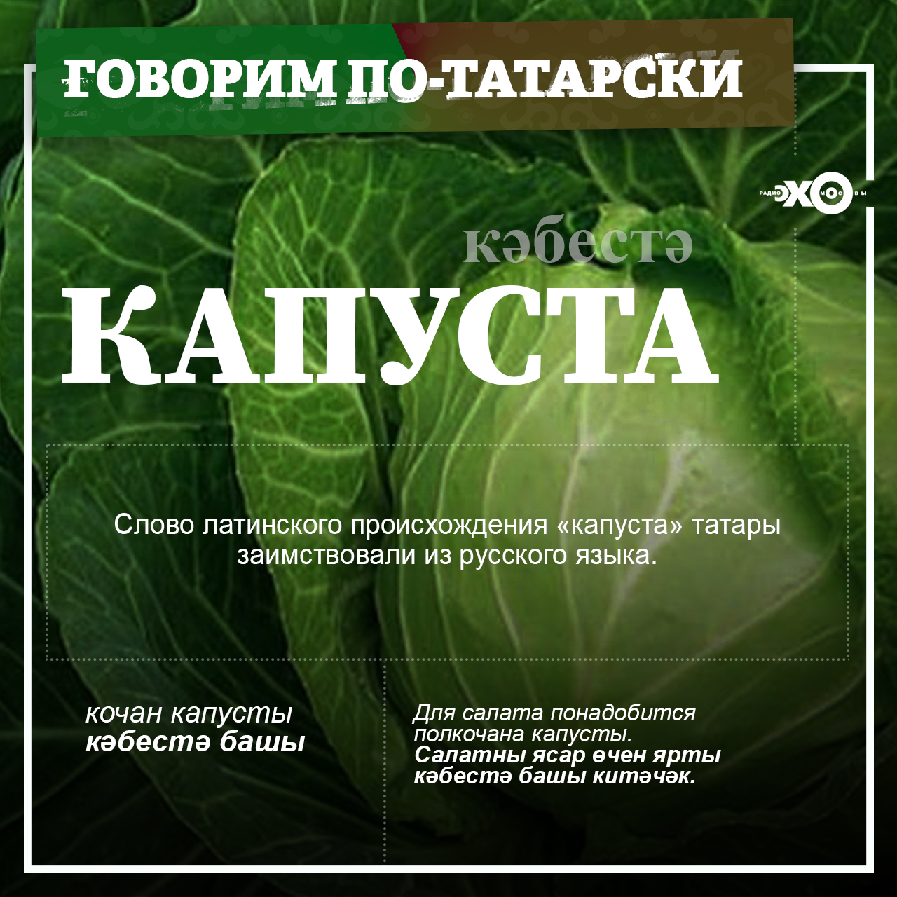 Kapusta.jpg