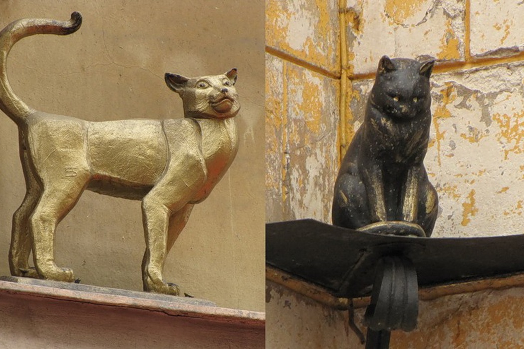 Скульптуры ленинградских кошек. <br>