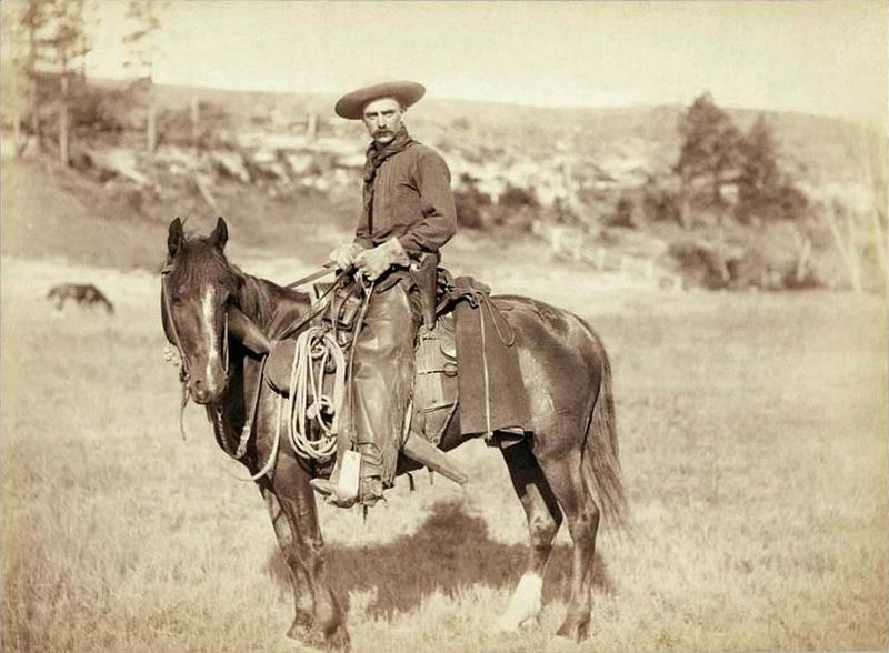 Ковбой в 1887 году.jpg