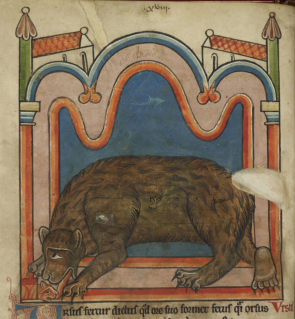 Медведь в средневековой миниатюре.