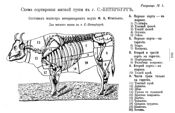 Говядина разделка туши картинка