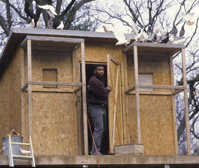 Майк Тайсон и его голуби, 1985 год.jpg