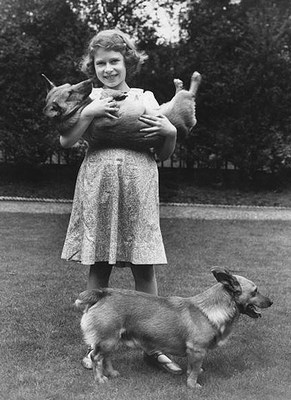 Будущая королева играет с собаками, 1936 год.jpg Будущая королева играет с собаками, 1936 год.jpg