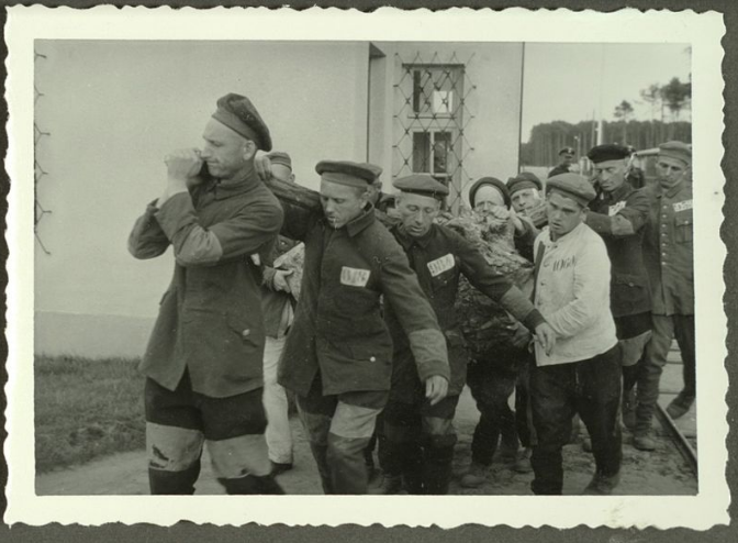 Заключенные перетаскивают срубленные деревья. (wikipedia.org) Заключенные перетаскивают срубленные деревья.