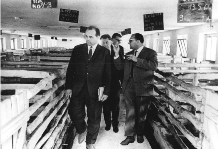 Горбачев посещает свиноводческое хозяйство в ГДР, 1966. (pinterest.com) Снимок экрана 2019-12-05 в 11.31.55.png