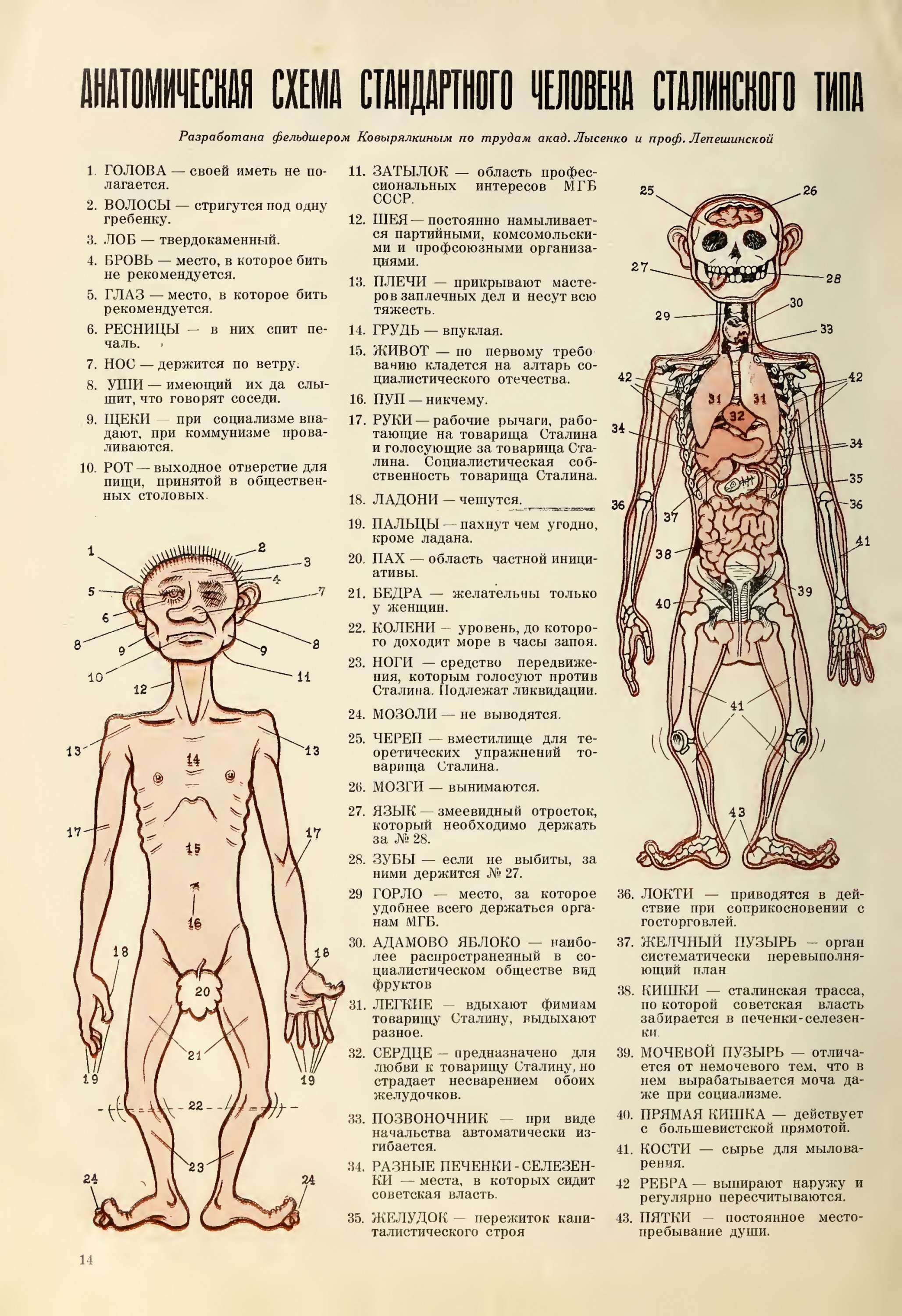Документ Анатомия.jpg