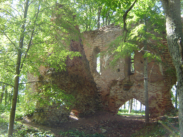 Руины Рингенского замка.jpg