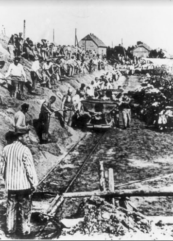Заключенные перетаскивают срубленные деревья. (wikipedia.org) фото4.png