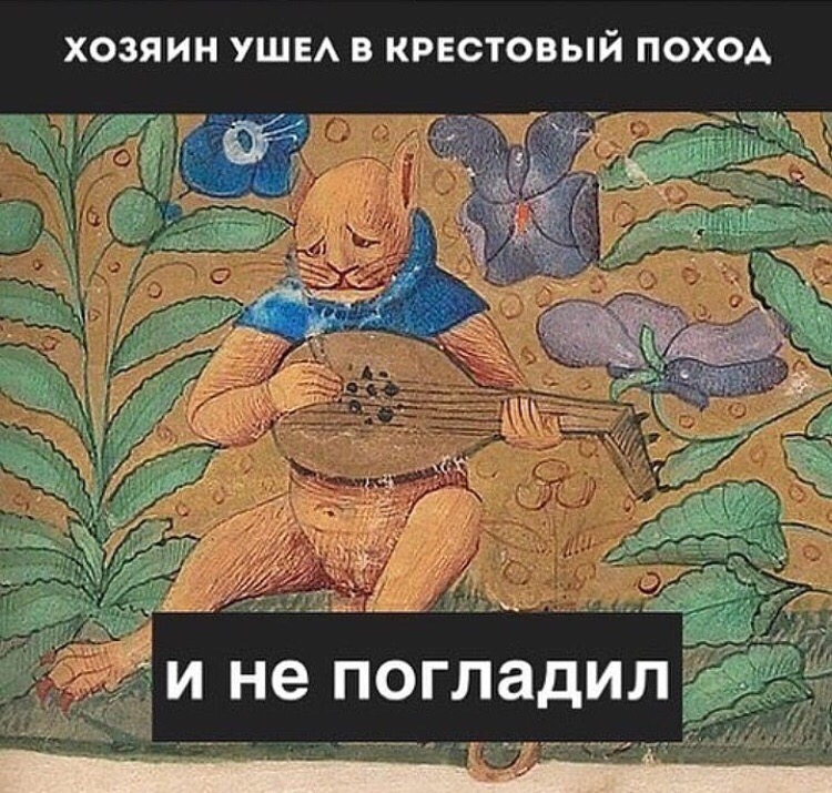 c2.jpg c2.jpg