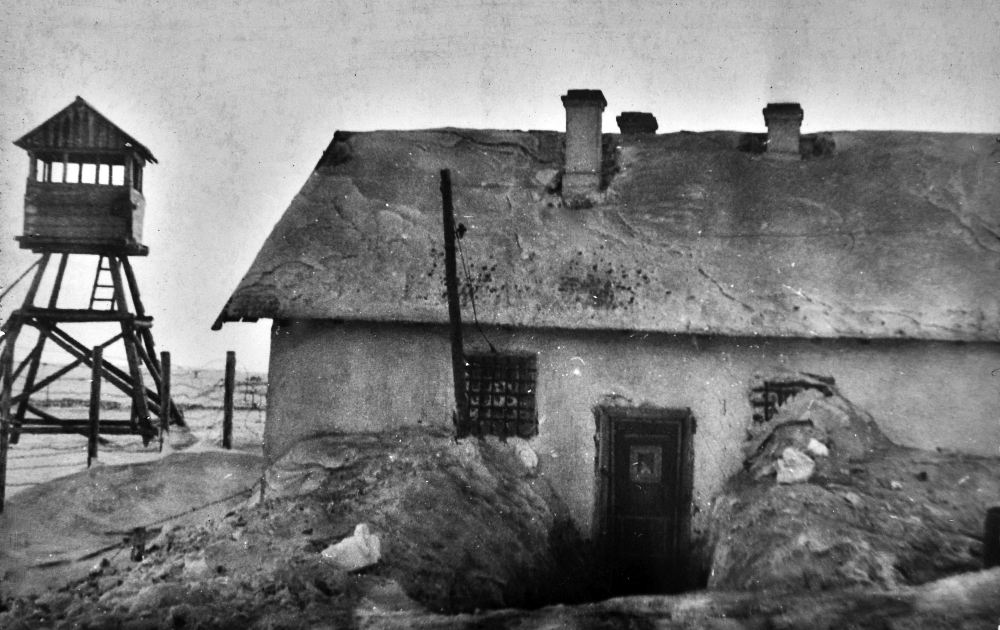 Как НКВД готовил вооружённые бунты в советском тылу