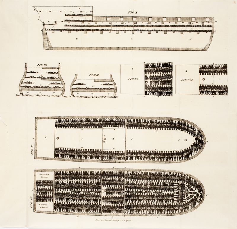 Схема невольничьего корабля с расположением рабов, 1822 г. <br>