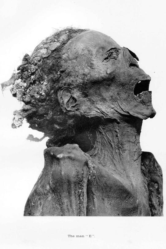 Безымянный царевич Е. (wikipedia.org) 4.jpg