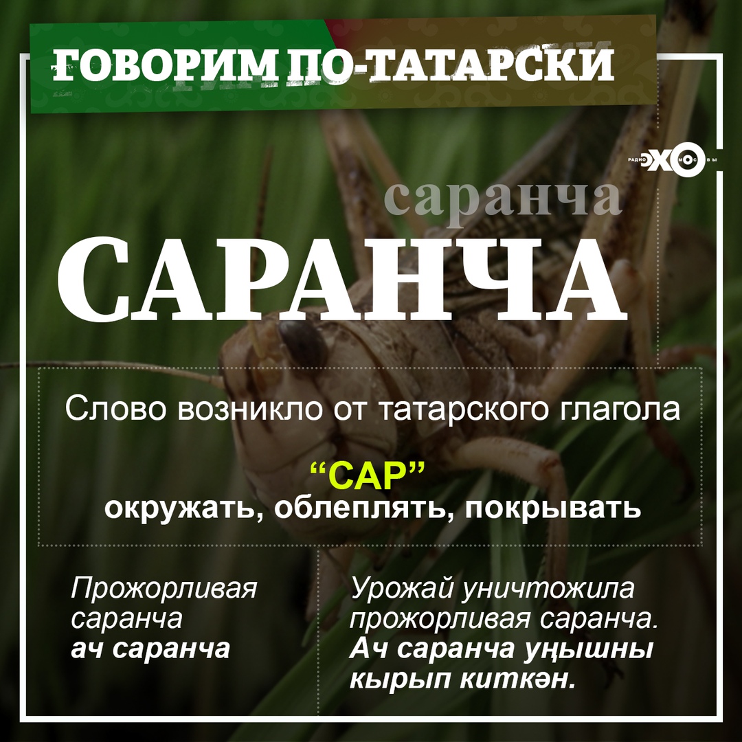 татарски.jpg