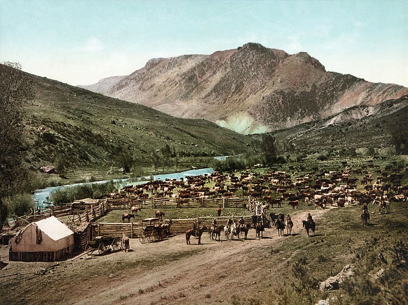 Ковбои Колорадо, 1898 год.jpg