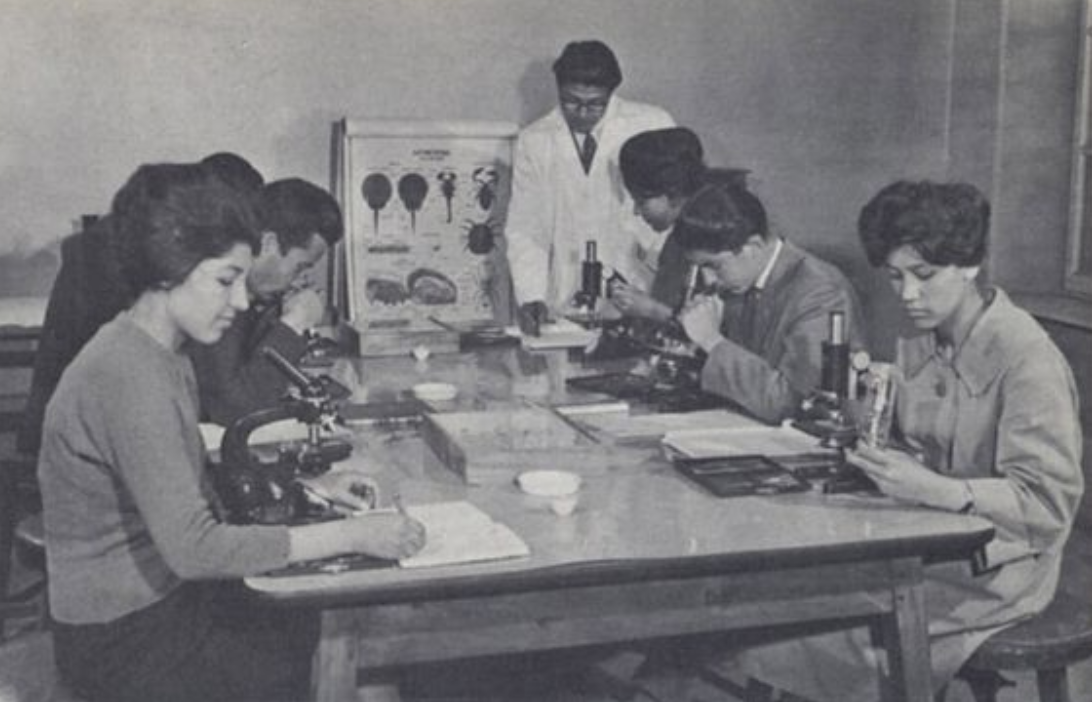 Занятие по биологии в&nbsp;университете Кабула, 1950-е.