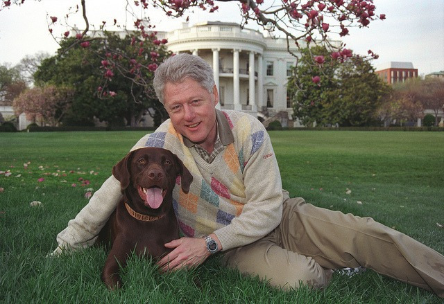 Билл Клинтон с лабрадором Бадди, 1999 год.jpg