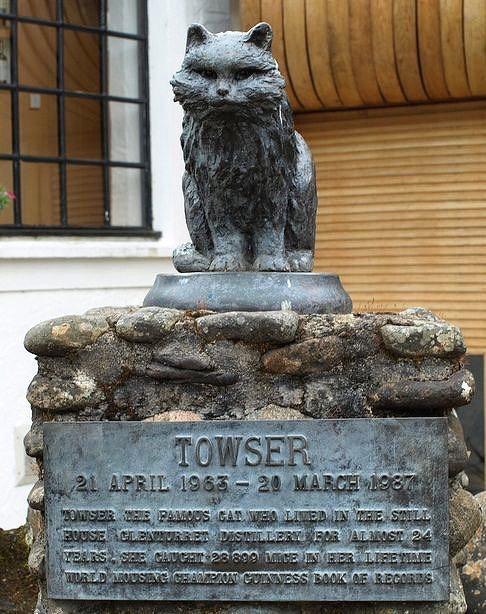 Скульптура кошки Таузер. <br>