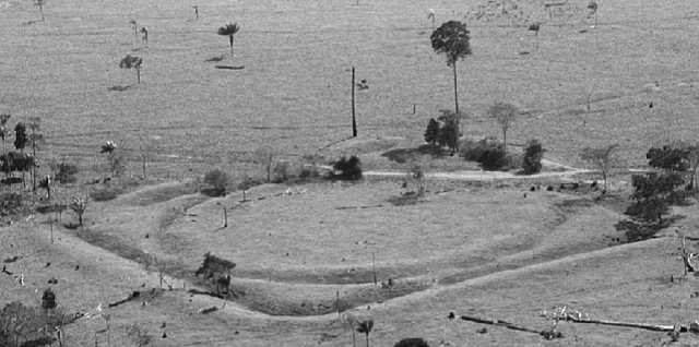 Археологи обнаружили «затерянный мир» в Амазонии - новости