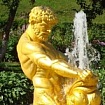 СамсонЪ Петергофскій